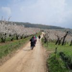 Wanderung Prealpi Veronesi