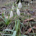 Wanderung Prealpi Veronesi